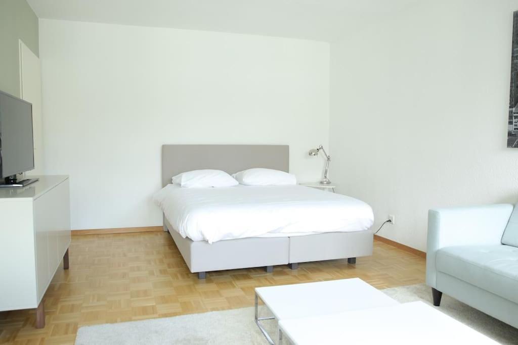Cozy Studio In The City Centre - Art 13 Ζυρίχη Εξωτερικό φωτογραφία